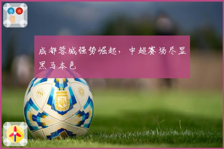 成都蓉城强势崛起，中超赛场尽显黑马本色