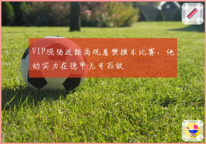 VIP现场近距离观看樊振东比赛，他的实力在德甲无可匹敌