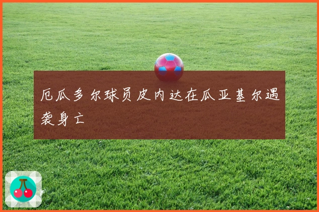 厄瓜多尔球员皮内达在瓜亚基尔遇袭身亡