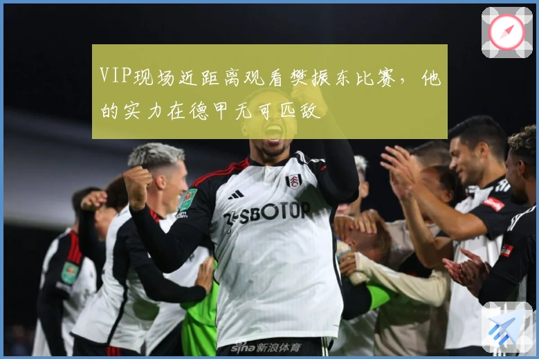 VIP现场近距离观看樊振东比赛，他的实力在德甲无可匹敌